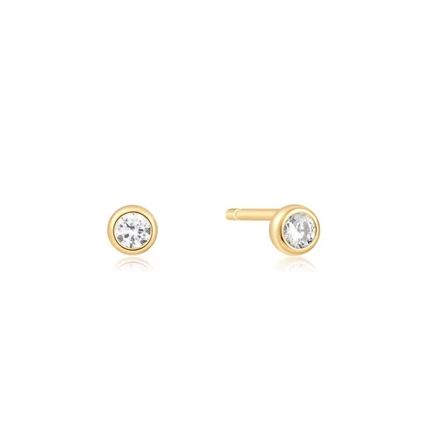 Stud Earrings