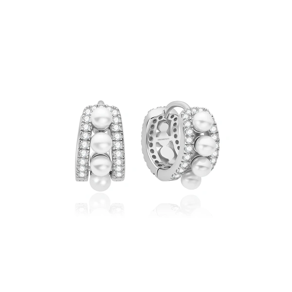 Silver Earrings